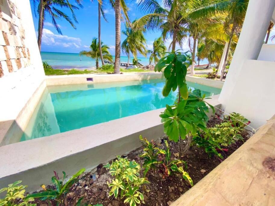Hébergement de vacances Casa Paraiso *